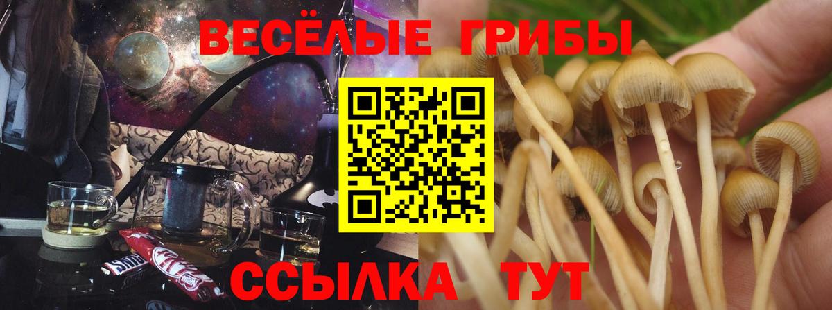 Псилоцибиновые грибы Magic Shrooms  Вход с VPN  Батайск 